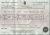 Elizabeth Cowen death certificate 31 July 1880